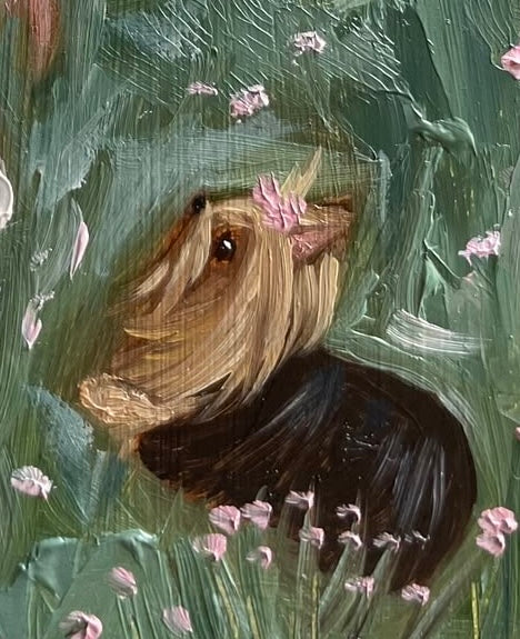 Through The Meadow